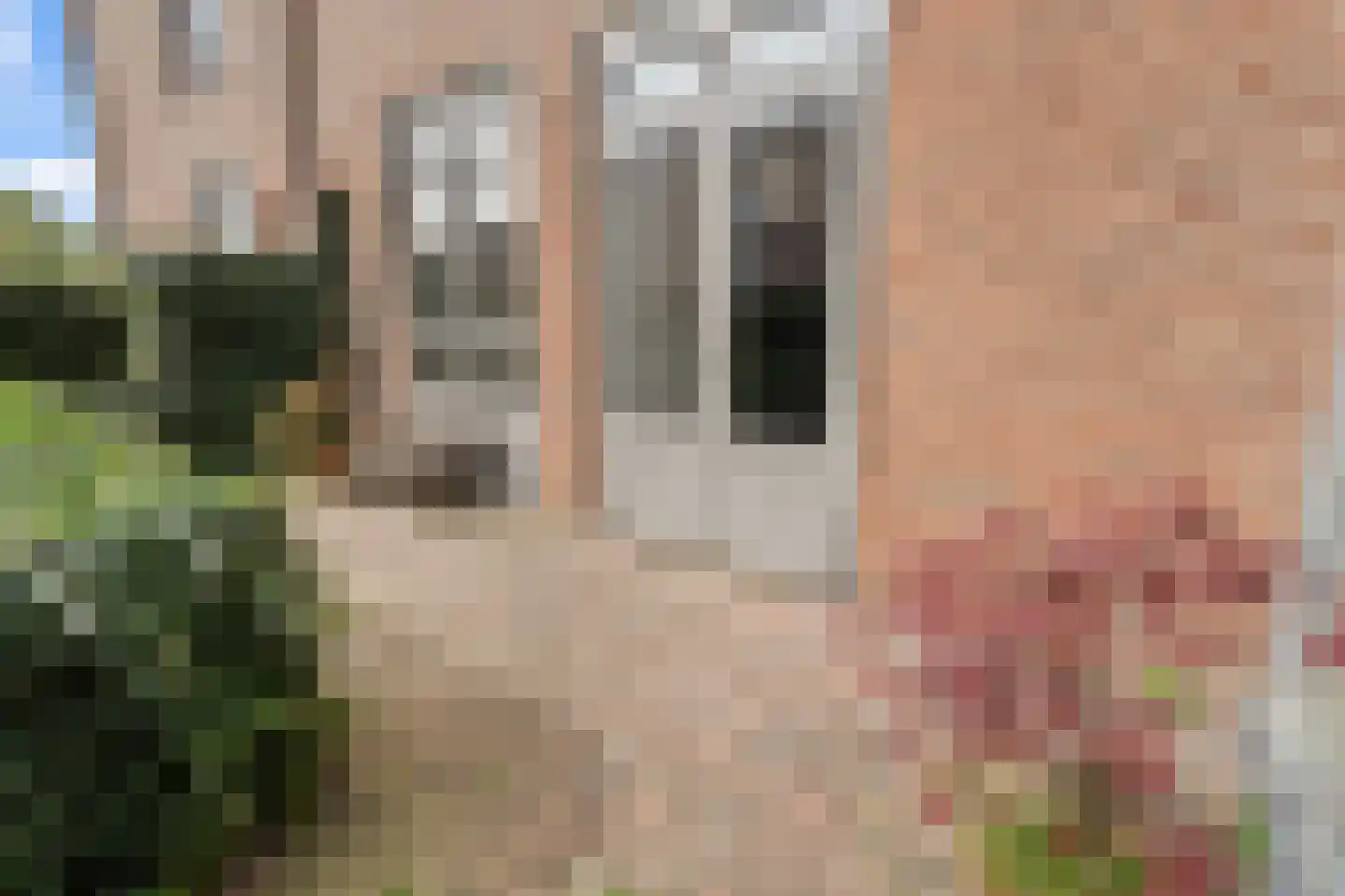 Rietgors 1 8 Nieuwegein thumbnail 17