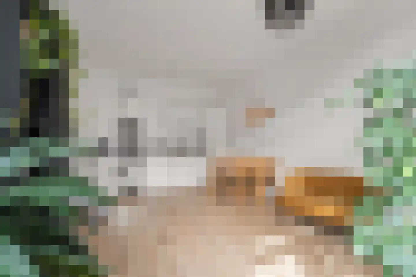 Rietgors 1 8 Nieuwegein thumbnail 8