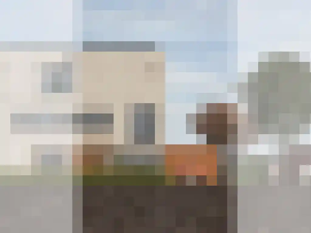 Rietgors 1 Bergen op Zoom thumbnail 5