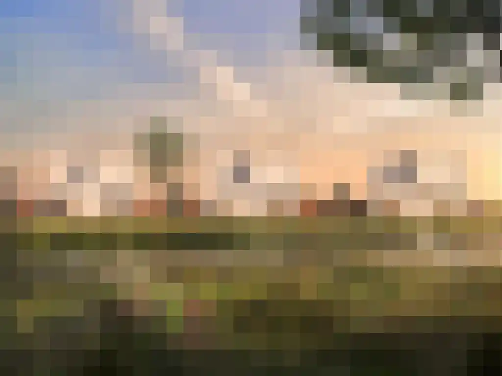 Rietgors 1 Bergen op Zoom thumbnail 8