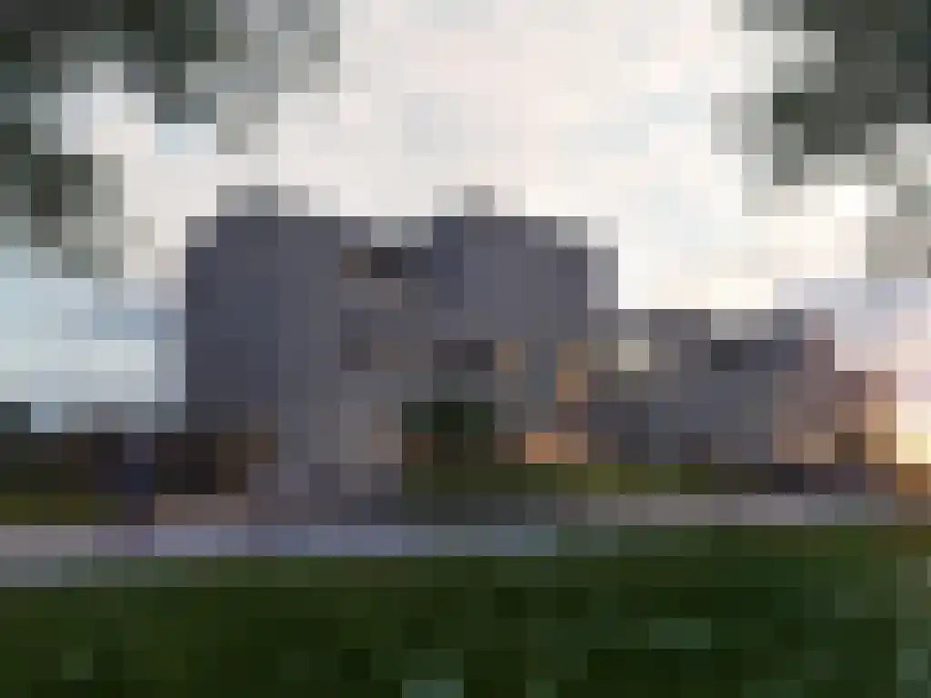 Rietgors 1 Bergen op Zoom thumbnail 9