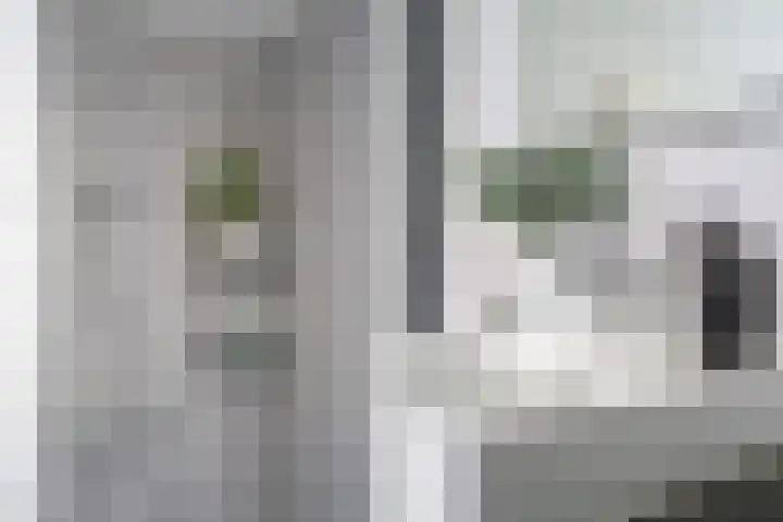 Rietgors 10 14 Nieuwegein thumbnail 10