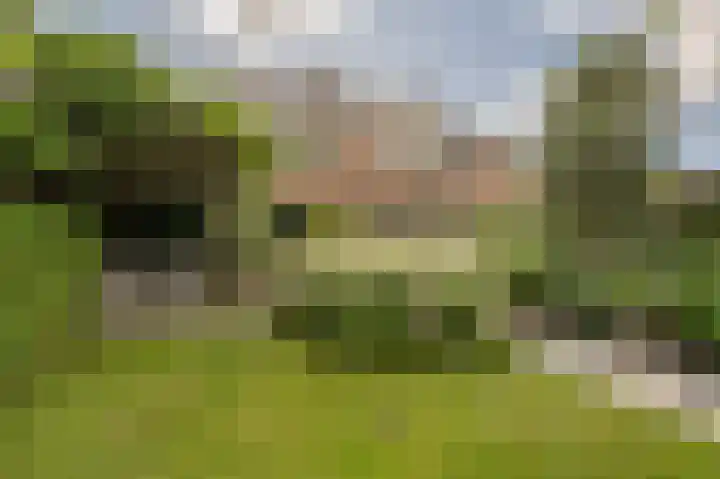 Rietgors 10 Mijnsheerenland