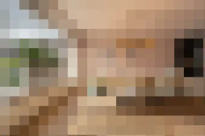 Rietgors 10 Mijnsheerenland thumbnail 10