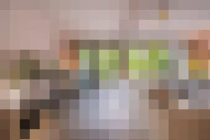 Rietgors 10 Mijnsheerenland thumbnail 11