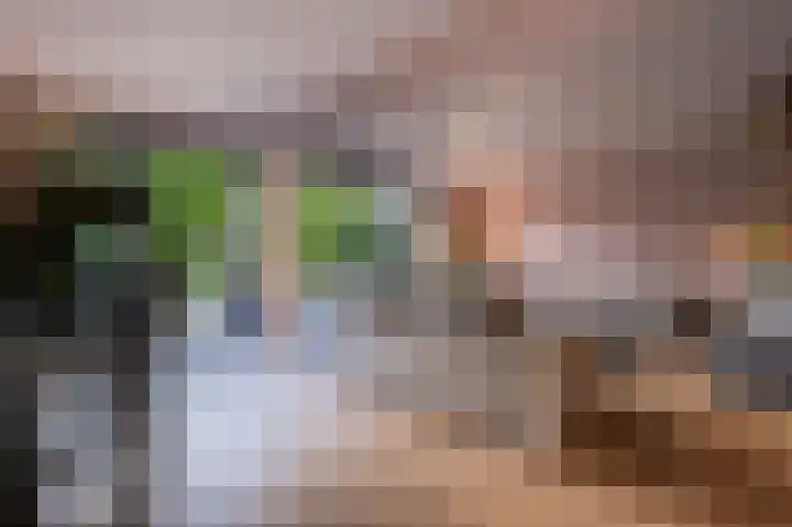 Rietgors 10 Mijnsheerenland thumbnail 12