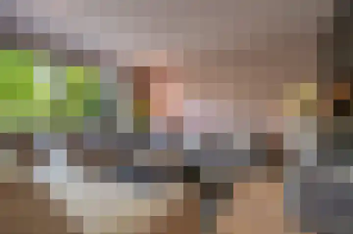 Rietgors 10 Mijnsheerenland thumbnail 13
