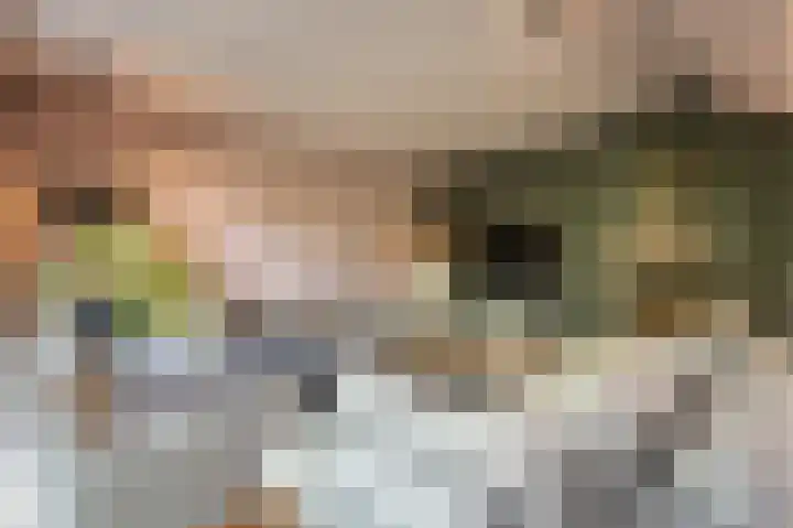 Rietgors 10 Mijnsheerenland thumbnail 14