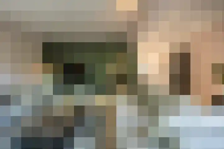 Rietgors 10 Mijnsheerenland thumbnail 15