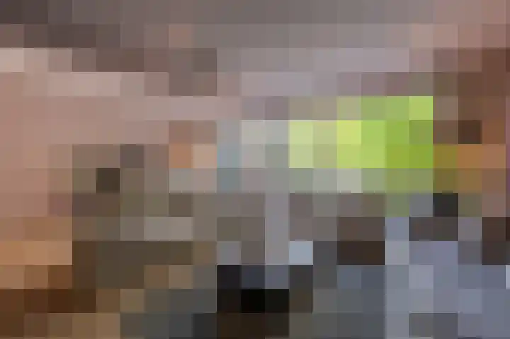 Rietgors 10 Mijnsheerenland thumbnail 16