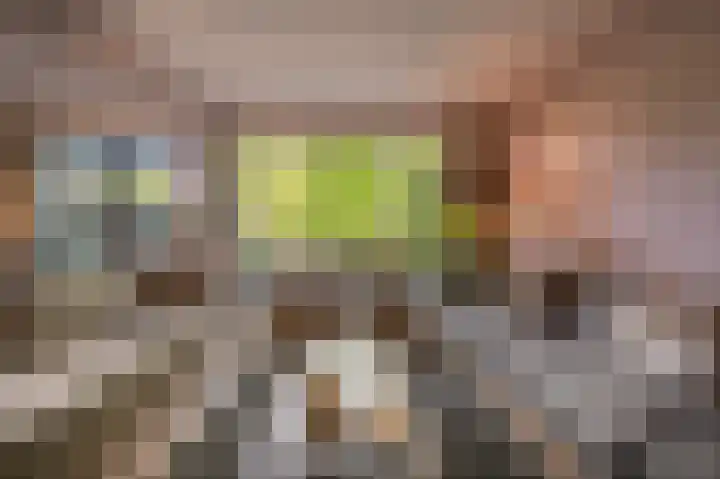 Rietgors 10 Mijnsheerenland thumbnail 17