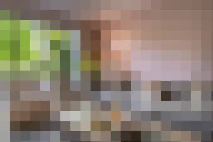 Rietgors 10 Mijnsheerenland thumbnail 18
