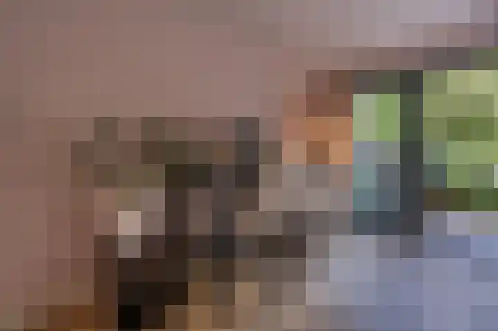 Rietgors 10 Mijnsheerenland thumbnail 19