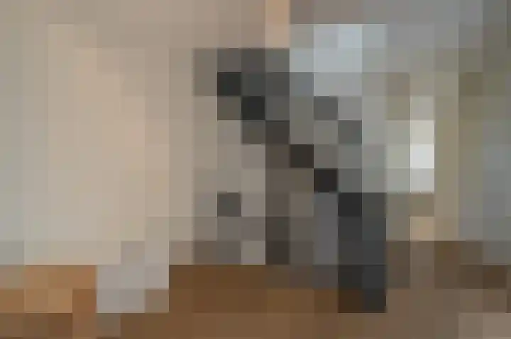 Rietgors 10 Mijnsheerenland thumbnail 22