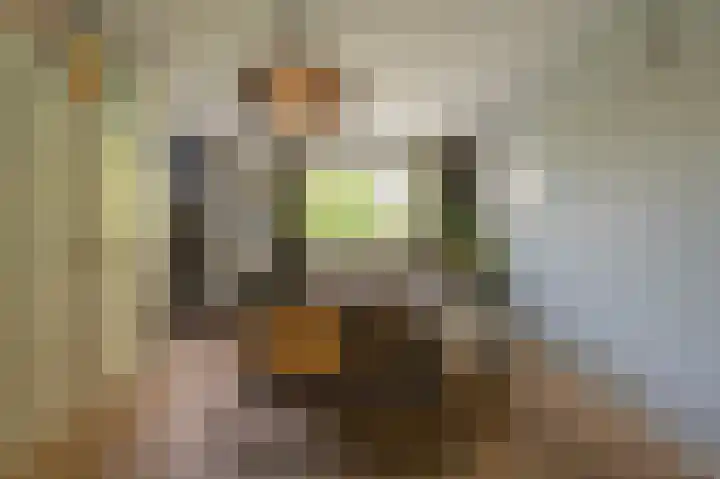 Rietgors 10 Mijnsheerenland thumbnail 23