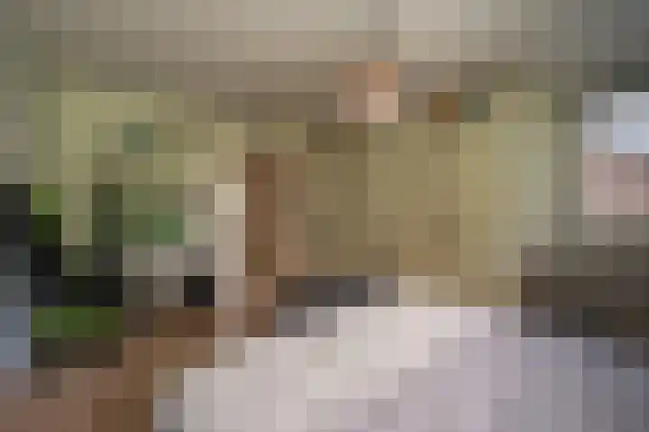 Rietgors 10 Mijnsheerenland thumbnail 24