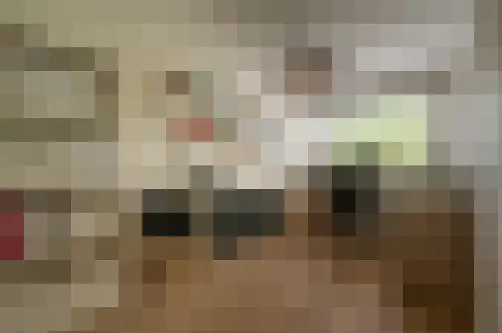 Rietgors 10 Mijnsheerenland thumbnail 25