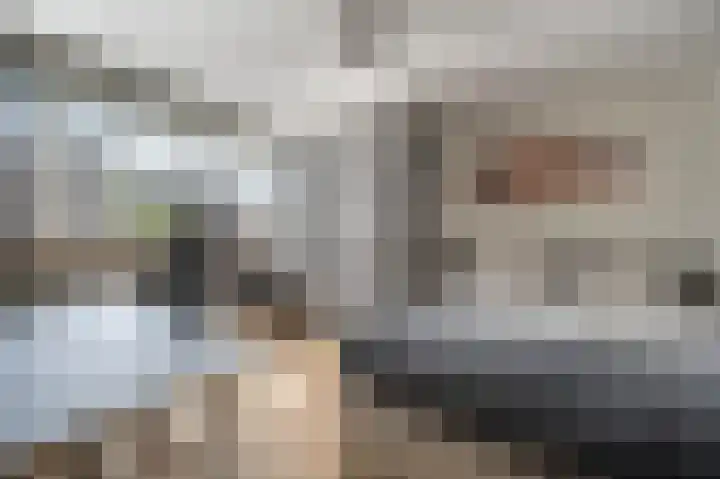 Rietgors 10 Mijnsheerenland thumbnail 26