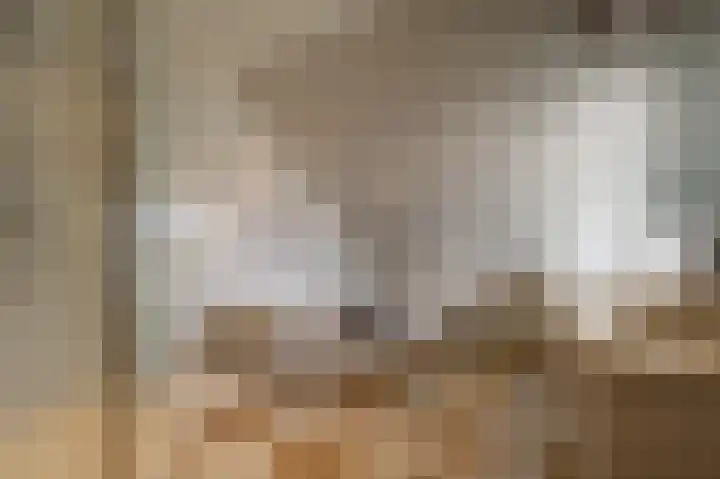Rietgors 10 Mijnsheerenland thumbnail 27