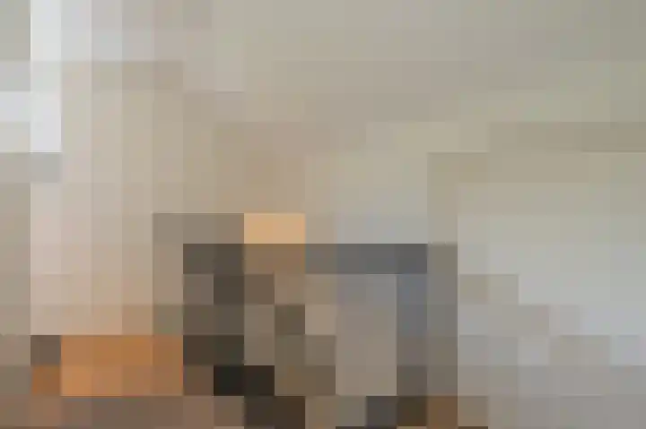 Rietgors 10 Mijnsheerenland thumbnail 29