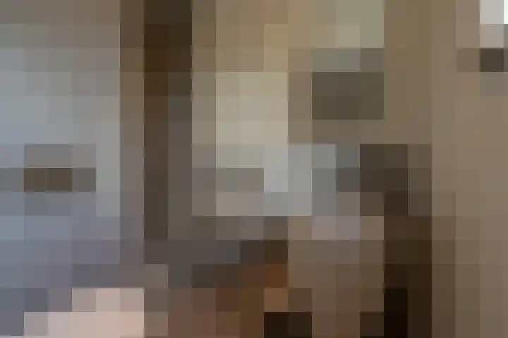 Rietgors 10 Mijnsheerenland thumbnail 30