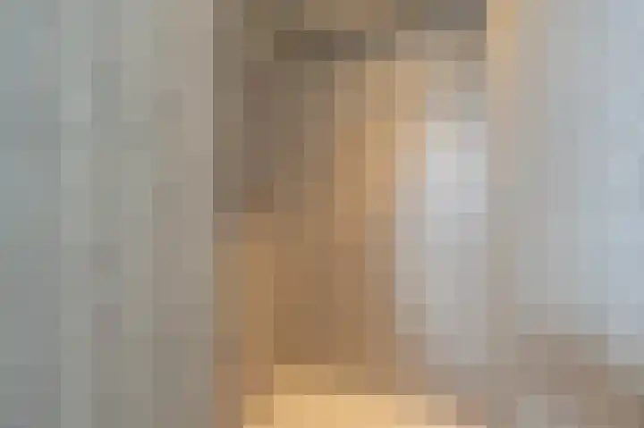 Rietgors 10 Mijnsheerenland thumbnail 31