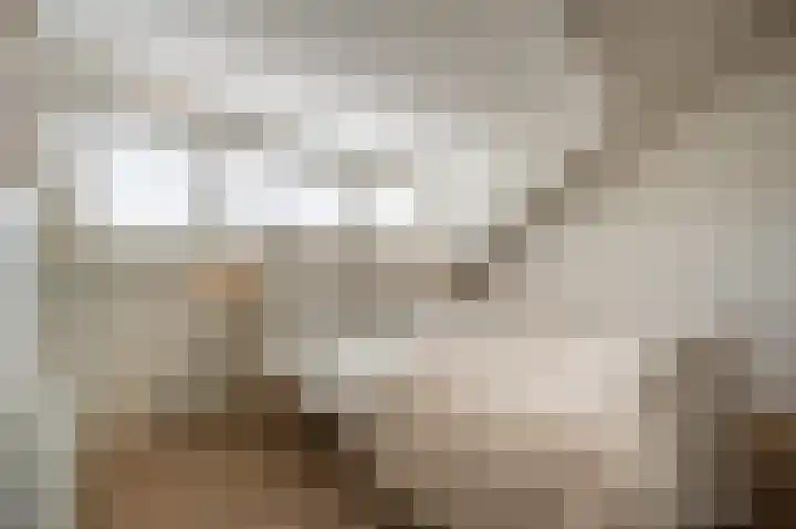 Rietgors 10 Mijnsheerenland thumbnail 32