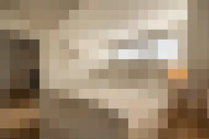 Rietgors 10 Mijnsheerenland thumbnail 33
