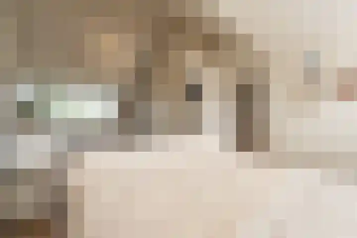 Rietgors 10 Mijnsheerenland thumbnail 34
