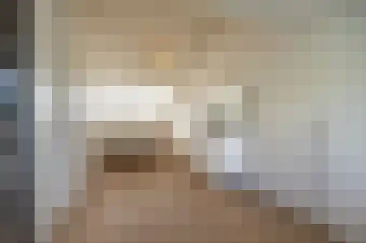 Rietgors 10 Mijnsheerenland thumbnail 35