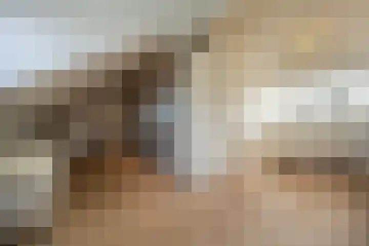 Rietgors 10 Mijnsheerenland thumbnail 36