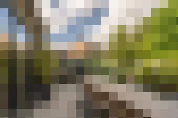 Rietgors 10 Mijnsheerenland thumbnail 38