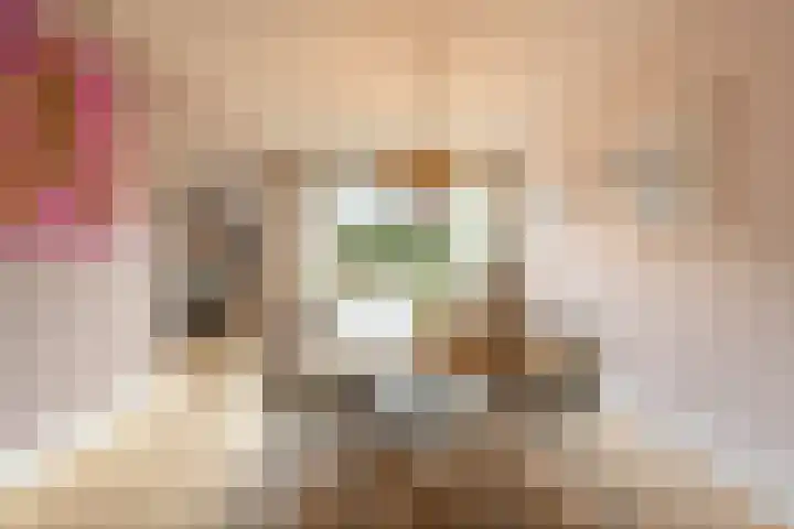 Rietgors 10 Mijnsheerenland thumbnail 4