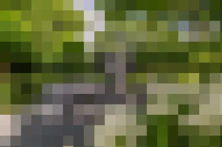 Rietgors 10 Mijnsheerenland thumbnail 40
