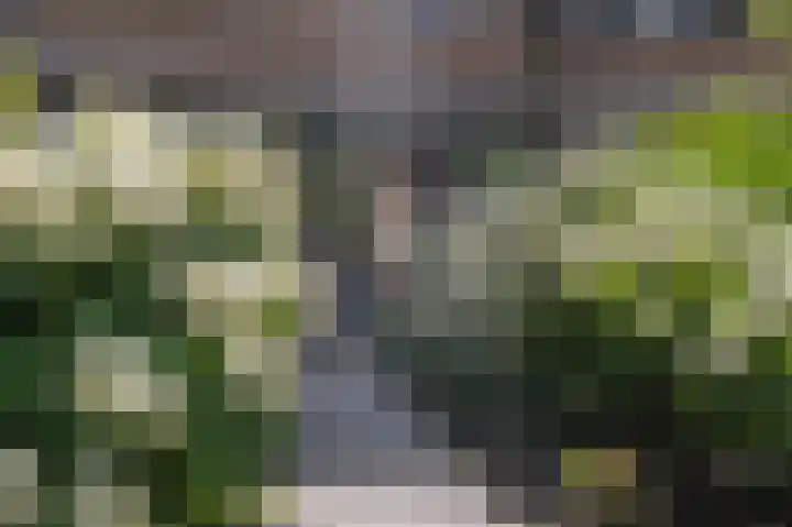 Rietgors 10 Mijnsheerenland thumbnail 43