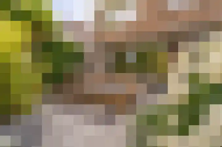 Rietgors 10 Mijnsheerenland thumbnail 44