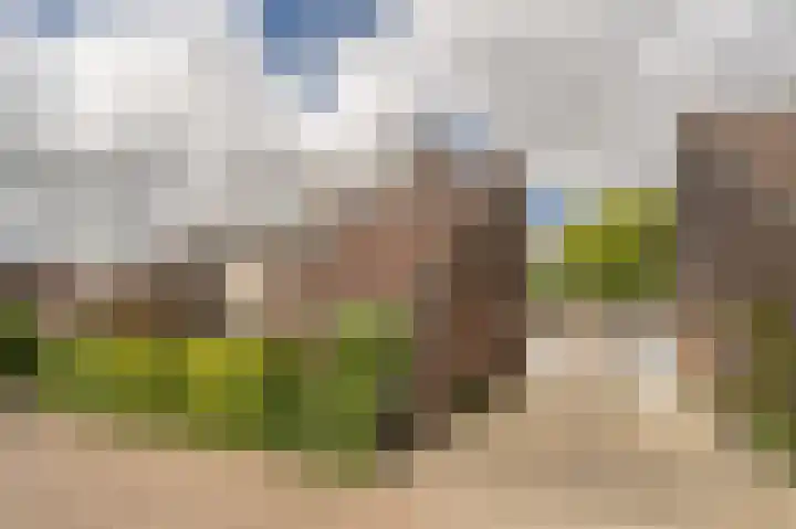 Rietgors 10 Mijnsheerenland thumbnail 45