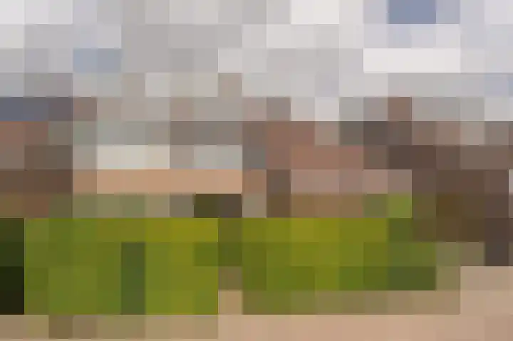 Rietgors 10 Mijnsheerenland thumbnail 46