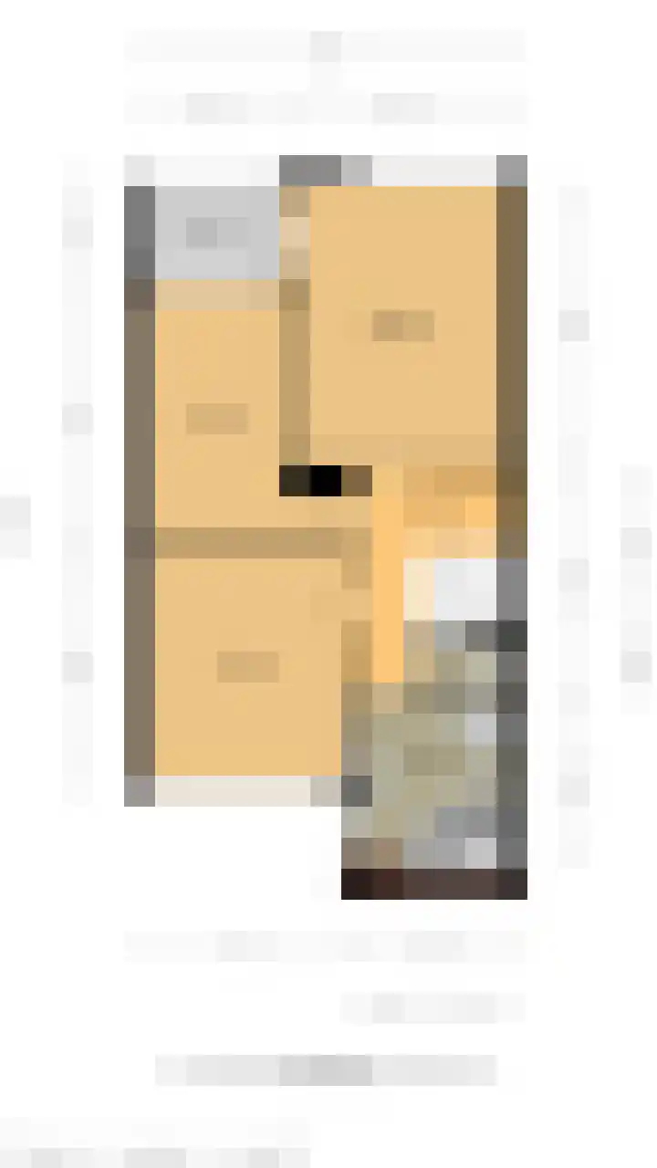 Rietgors 10 Mijnsheerenland thumbnail 48