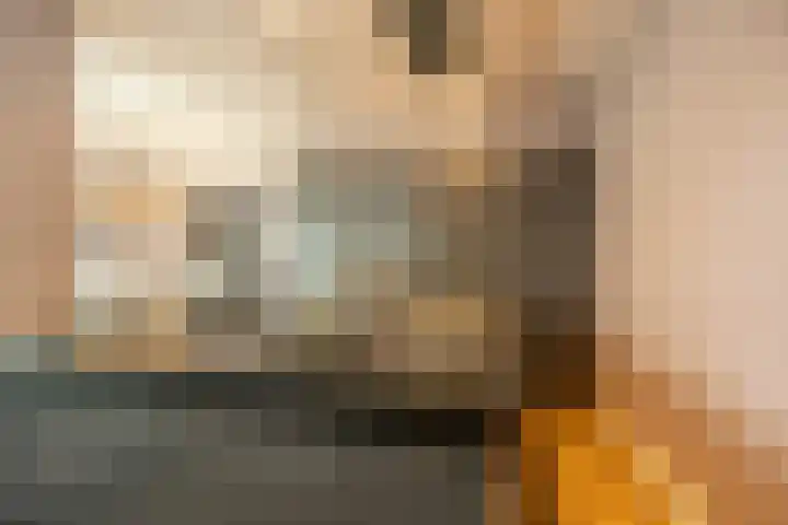 Rietgors 10 Mijnsheerenland thumbnail 8