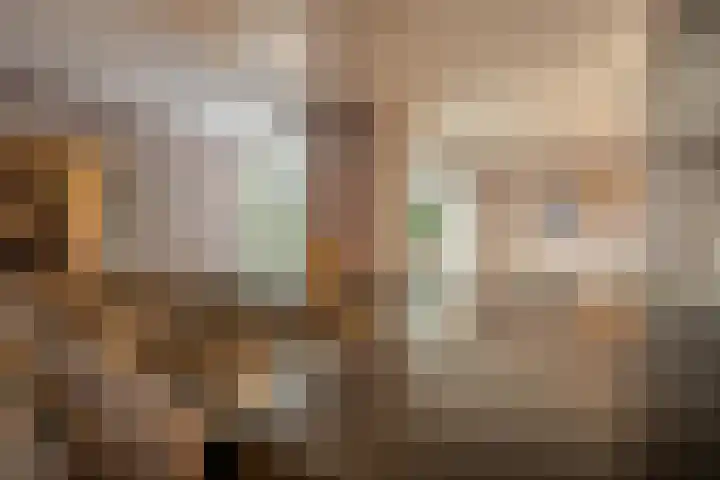 Rietgors 10 Mijnsheerenland thumbnail 9