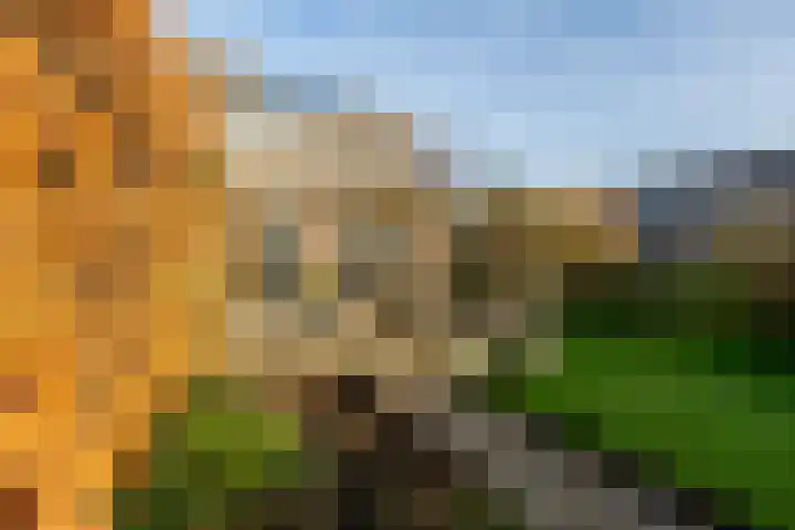 Rietgors 11 Moordrecht thumbnail 39