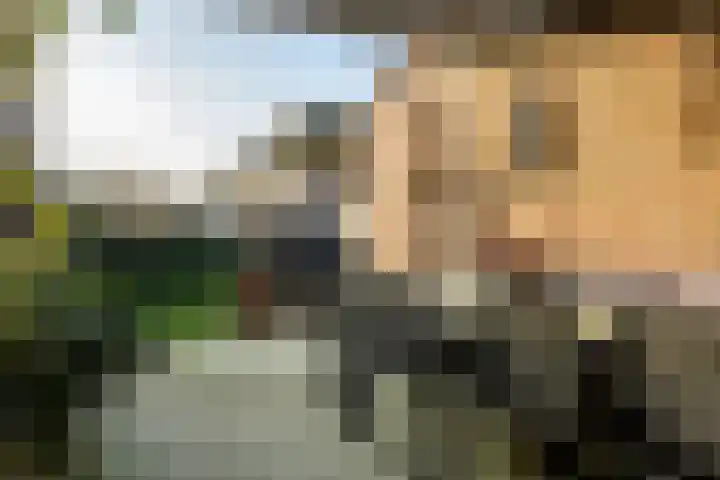 Rietgors 11 Moordrecht thumbnail 40