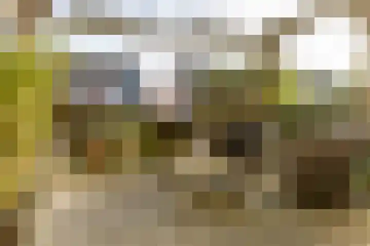 Rietgors 11 Moordrecht thumbnail 41