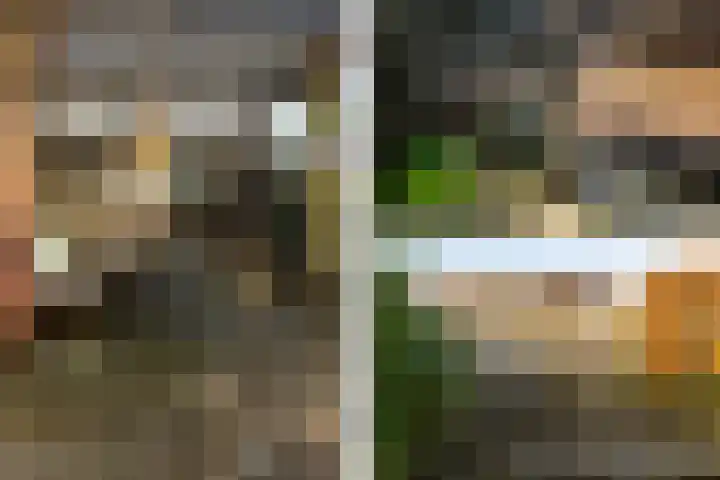 Rietgors 11 Moordrecht thumbnail 44