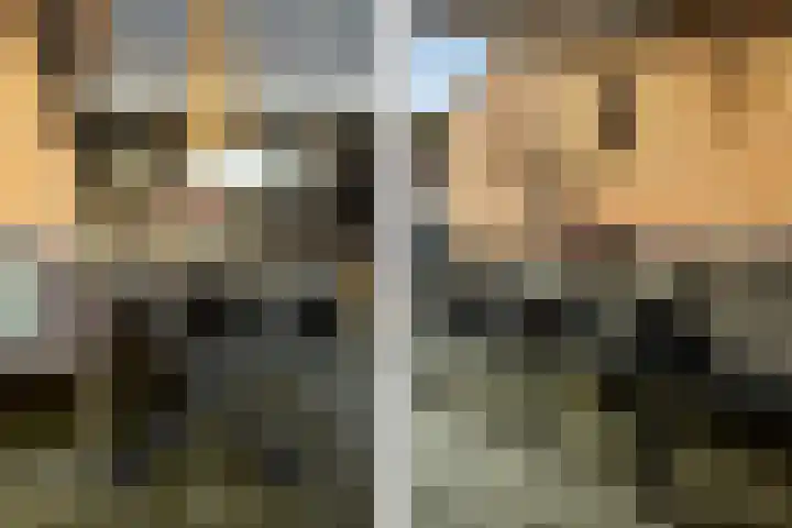 Rietgors 11 Moordrecht thumbnail 47
