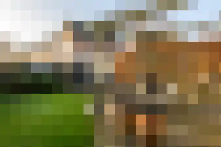 Rietgors 11 Moordrecht thumbnail 49
