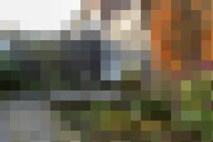 Rietgors 11 Moordrecht thumbnail 50