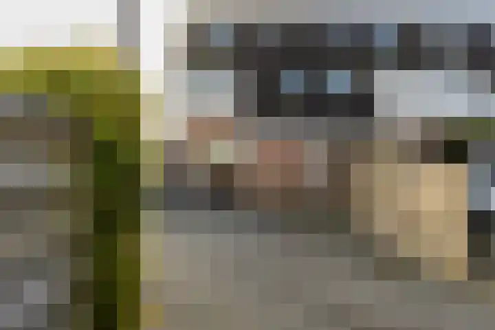 Rietgors 11 Moordrecht thumbnail 51