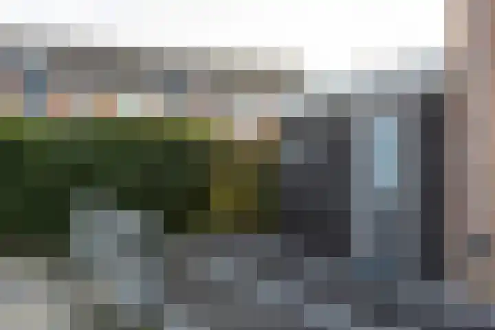 Rietgors 11 Moordrecht thumbnail 52